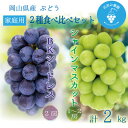 【ふるさと納税】岡山 花笑み農園の『シャインマスカット&BKシードレス』家庭用 約2kg BS-2家 9月下旬~発送【配送不可地域:離島】【1650762】
