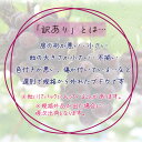岡山県新庄村の画像2
