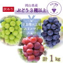【ふるさと納税】岡山 花笑み農園のブドウ『訳ありMIX3種以上』1kg W3M-1【配送不可地域:離島】【1650788】