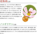 岡山県鏡野町の画像2