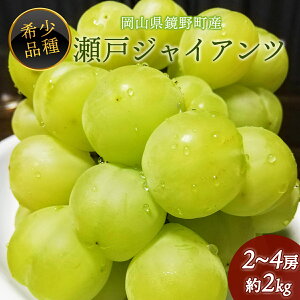 【ふるさと納税】【期間限定】 鏡野町産 瀬戸ジャイアンツ 2kg(2~4房) | 厳選 希少品種 ふるさと納税 葡萄 ぶどう ブドウ フルーツ 果物 皮ごと 美味しい 高糖度 岡山 送料無料