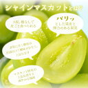 岡山県鏡野町の画像2