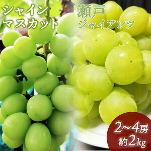 【ふるさと納税】【数量限定】鏡野町産 瀬戸ジャイアンツ&シャインマスカットセット 2kg(2~4房)