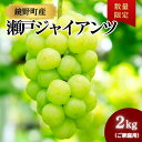 【ふるさと納税】【期間限定】鏡野町産 瀬戸ジャイアンツ 2kg(ご家庭用)【004-a028】