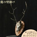 【ふるさと納税】≪選べる台座カラー≫ 鹿の壁掛け(ナチュラル/ダークブラウン)