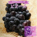 【ふるさと納税】<2025年発送分 先行予約>梅村ファーム 朝摘み直送 ピオーネ(3〜5房入り 約2kg)【030-a009】 数量限定 期間限定 2025年9...