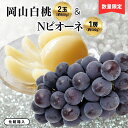 【ふるさと納税】岡山白桃2玉(約500g)&Nピオーネ1房約500g化粧箱入