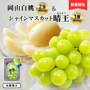【ふるさと納税】岡山白桃2玉(約500g)&シャインマスカット晴王1房(約500g)化粧箱入