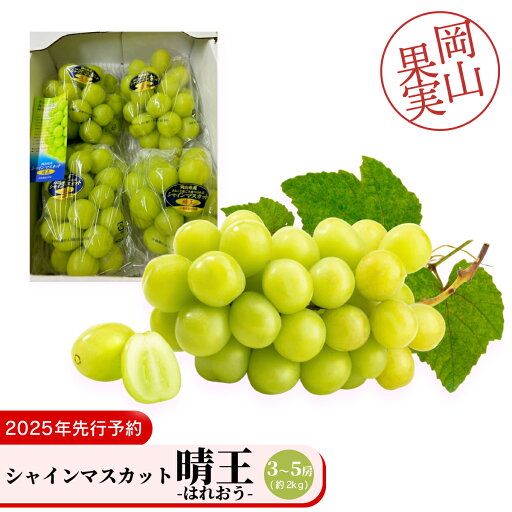 【ふるさと納税】シャインマスカット晴王3~5房(約2kg) 【ふるさと納税】シャインマスカット晴王3~5房(約2kg)