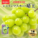 【ふるさと納税】<定期便全3回>シャインマスカット晴王1房800g化粧箱入 3回コース