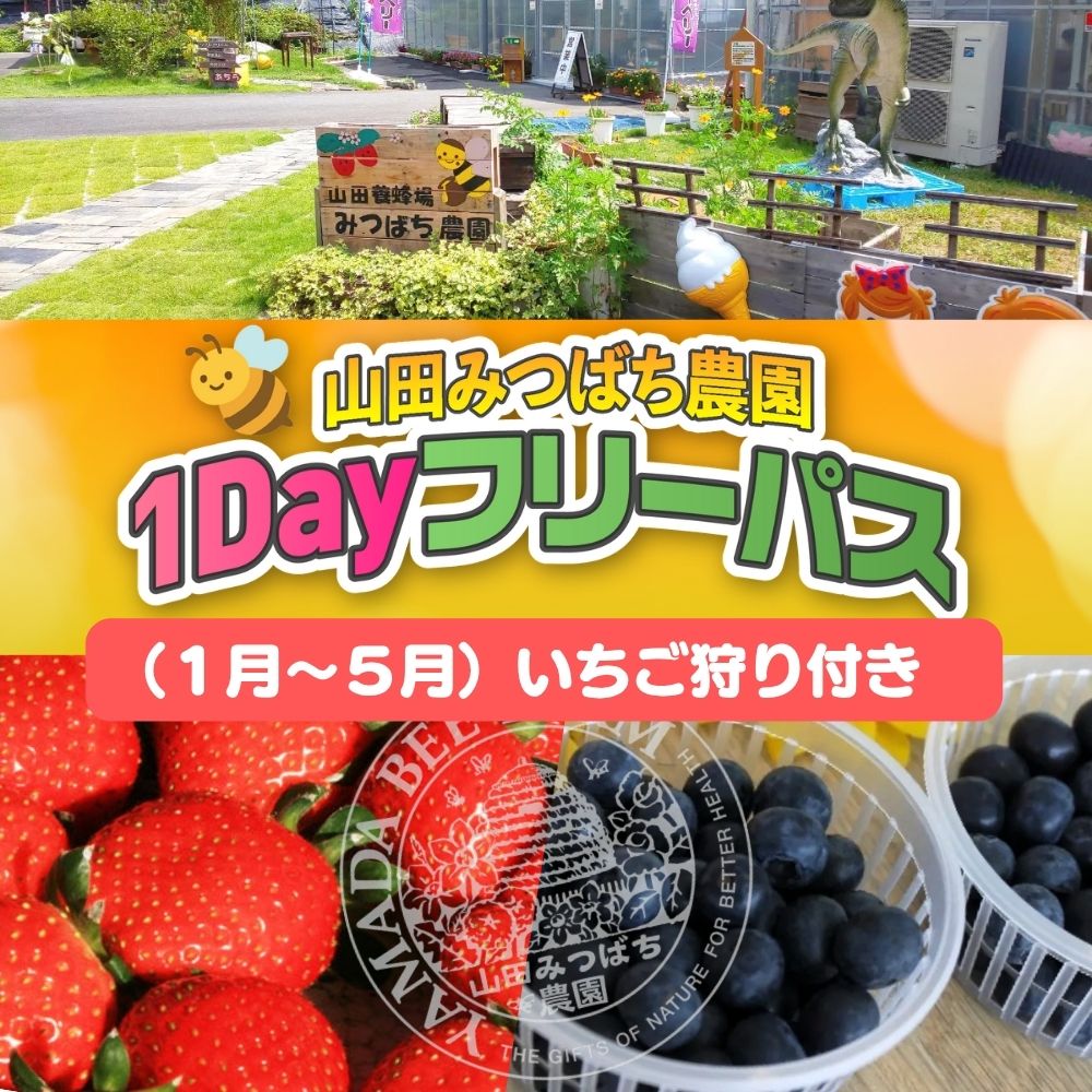 【ふるさと納税】［山田みつばち農園］1Dayフリーパス（1月～5月）いちご狩り付き 049-a002