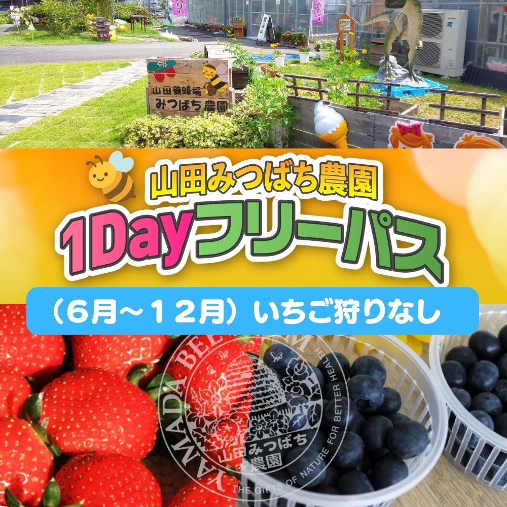 [山田みつばち農園]1Dayフリーパス(6月〜12月)※いちご狩りなし 049-a003