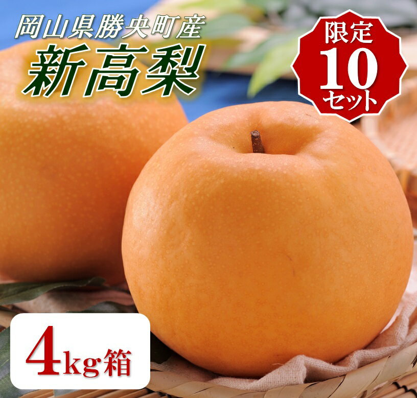 【ふるさと納税】勝央町産梨「新高梨」(4.0kg以上)