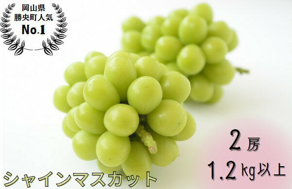 13位! 口コミ数「36件」評価「4.83」岡山県産 シャインマスカット 1.2kg以上 (2房)_【9月中旬から10月中旬発送】_A11