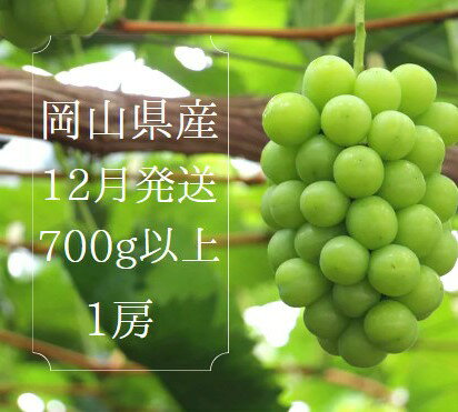 12位! 口コミ数「0件」評価「0」岡山県 勝央町産 冷蔵シャインマスカット 700g以上 (1房)_【12月発送】_A14