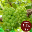 商品画像3