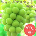 岡山県産 シャインマスカット 700g以上 (1房)__A5