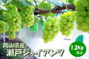 【ふるさと納税】岡山県 勝央町産 瀬戸ジャイアンツ 1.2kg以上 (2房)_【10月発送】_ A12