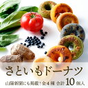 11位! 口コミ数「0件」評価「0」栄養満点ヘルシースイーツ！さといもドーナツ10個セット（オリジナル5個、ほうれん草2個、トマト2個、黒豆1個）個包装 おやつ デザート 手作･･･ 