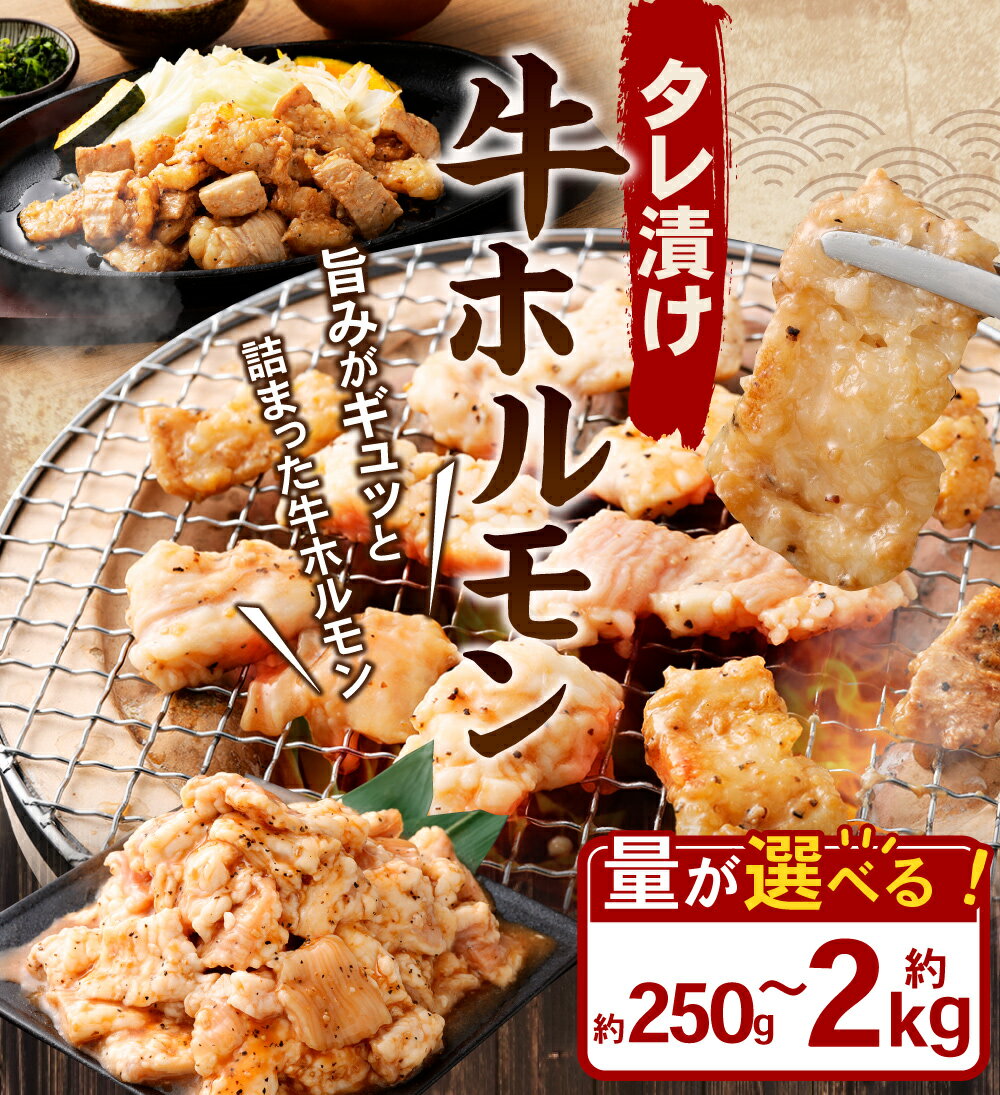 【ふるさと納税】＜選べる容量＞ タレ漬け 牛ホルモン 250g 500g 1.0kg 1.5kg 2.0kg 1パック～8パック 1パックあたり250g 小分け 牛肉 牛 お肉 肉 味付き たれ タレ ホルモン 焼き肉 焼肉 冷凍 岡山県 奈義町 送料無料