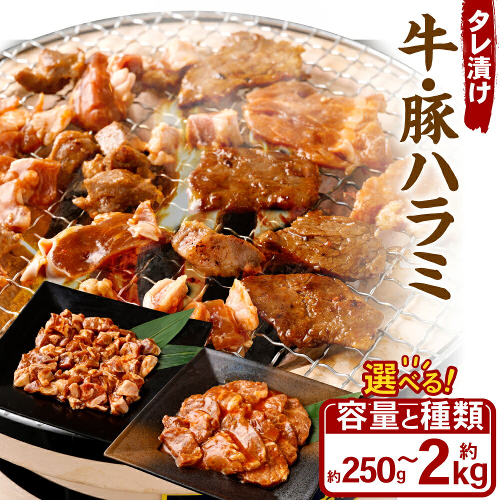 [選べる容量・種類]タレ漬け 牛ハラミ・豚ハラミ 食べ比べセット 各250g×1〜4パック 計500g〜2kg 豚ハラミ 250g×1〜4パック 計250g〜1kg お肉 肉 牛肉 豚肉 はらみ ハラミ 味付け肉 たれ漬け BBQ 焼肉 セット 詰め合わせ 冷凍 岡山県 奈義町 送料無料
