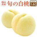 【ふるさと納税】岡山県産 旬の白桃 6玉 (計1.6kg以上)【2025年7月上旬〜8月上旬迄発送予定】 化粧箱入り 果物 くだもの フルーツ 桃 もも モモ ...
