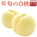 【ふるさと納税】岡山県産 旬の白桃 8玉 (計1.7kg以上)【2025年7月上旬〜8月上旬迄発送予定】 化粧箱入り 果物 くだもの フルーツ 桃 もも モモ ...