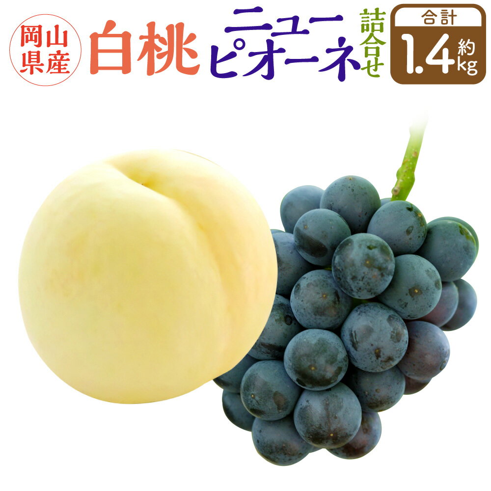 【ふるさと納税】詰合 白桃 2玉 (1玉220g以上)・ニューピオーネ 2房 (1房480g以上) 化粧箱入り 【2025年7月下旬~8月上旬迄発送予定】 果物 くだもの フルーツ 桃 もも モモ ぶどう ブドウ 葡萄 詰合せ 詰め合わせ 岡山 おかやま 国産 冷蔵 岡山県 奈義町 送料無料