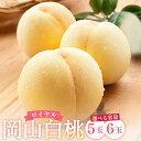 【ふるさと納税】【選べる容量】岡山 白桃 ロイヤル 5玉(1.5kg以上)化粧箱入り または 6玉(1玉330g以上)木箱入り 桃 果物 くだもの フルーツ 高...