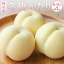 【ふるさと納税】岡山産 冬桃がたり 6〜9玉 約1.2kg 化粧箱入り 桃 果物 くだもの フルーツ 高糖度 お取り寄せ 国産 岡山県 奈義町 送料無料 【20...