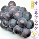 【ふるさと納税】岡山産 オーロラブラック 2房(1房480g以上) 化粧箱入り ぶどう ブドウ 葡萄 果物 くだもの フルーツ 高糖度 冷蔵 お取り寄せ 国産 ...