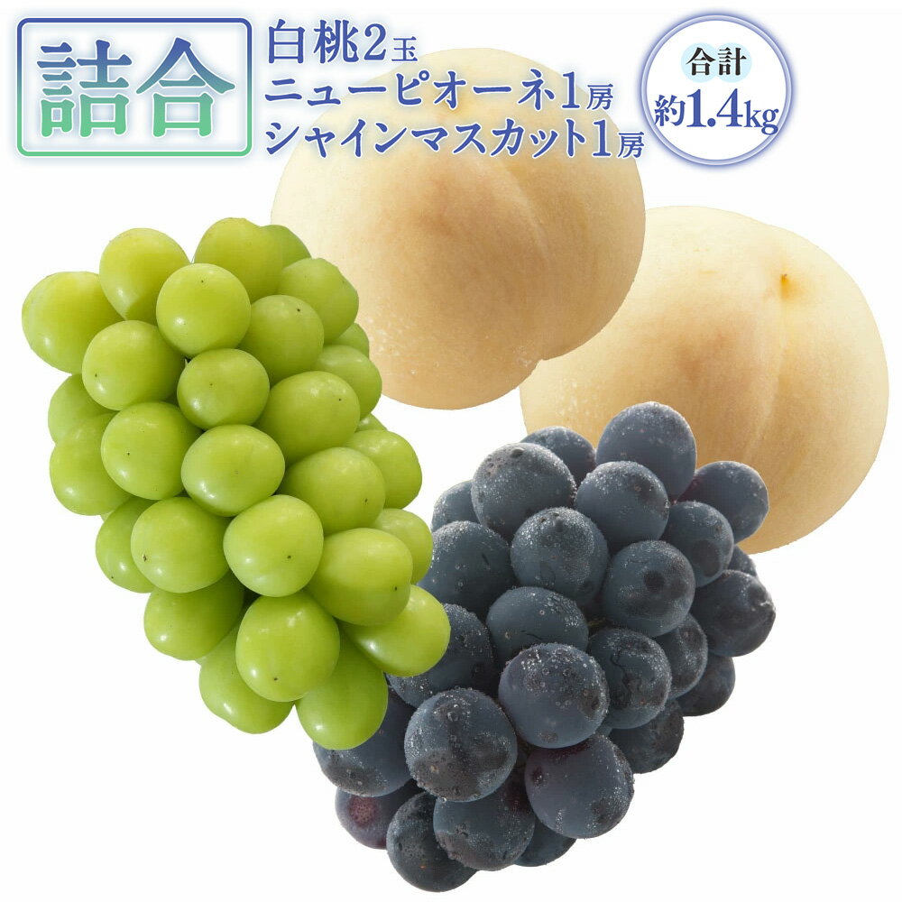 【ふるさと納税】岡山産 白桃 2玉(1玉220g以上)ニューピオーネ 1房(480g以上)シャインマスカット 1房(晴王・480g以上)化粧箱入り 桃 ぶどう ブドウ 葡萄 果物 くだもの フルーツ 冷蔵 詰め合わせ 国産 岡山県 奈義町 送料無料 【2025年7月下旬~8月上旬迄発送予定】