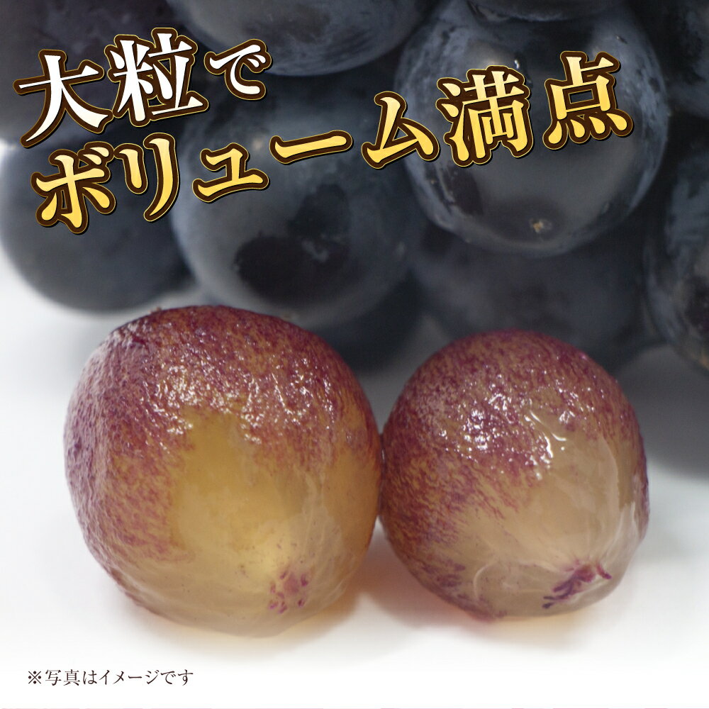 岡山県奈義町の画像3