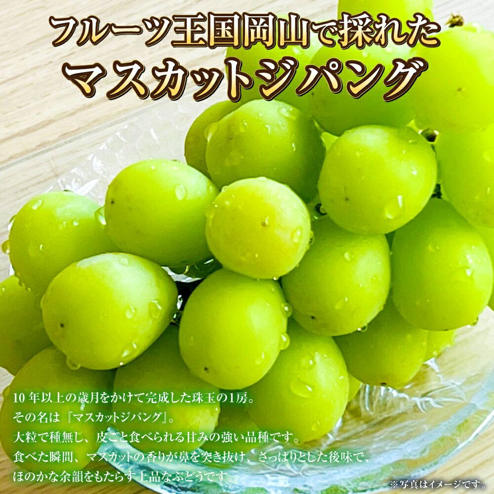 【ふるさと納税】【選べる容量】岡山県産 マスカットジパング 約800g または 約900g マスカット ぶどう ブドウ 葡萄 種無し 種なし 果物 くだもの フルーツ お取り寄せ 冷蔵 おかやま 岡山県 奈義町 送料無料【2026年7月下旬～8月下旬発送予定】