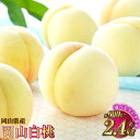 【ふるさと納税】【選べる品種と容量】岡山白桃 ロイヤル または エース 約600g〜約2.4kg 桃 もも モモ 白桃 果物 くだもの フルーツ お取り寄せ 贈...