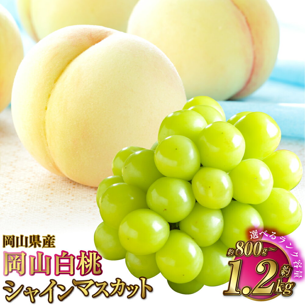 [選べる品種と容量]岡山県産 岡山白桃(ロイヤルまたはエース) +シャインマスカット晴王 2種 詰め合わせ 計約800g〜約1.2kg 白桃 桃 もも マスカット 果物 くだもの フルーツ ギフト 冷蔵 岡山県 奈義町 送料無料 [2026年7月上旬〜8月下旬発送予定]