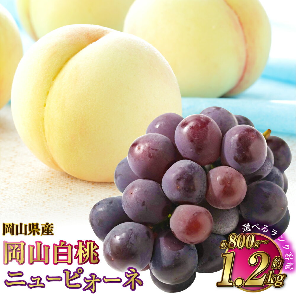 58位! 口コミ数「0件」評価「0」【選べる品種と容量】岡山県産 岡山白桃（ロイヤルまたはエース） ＋ニューピオーネ 2種 詰め合わせ 計約800g～約1.2kg 白桃 桃 もも ピオーネ 葡萄 ぶどう 果物 くだもの フルーツ ギフト･･･ 