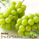 【ふるさと納税】【選べる容量】岡山県産 シャインマスカット 晴王 約600g〜約5kg 果物 フルーツ くだもの ぶどう ブドウ 葡萄 マスカット 種なし 種無...