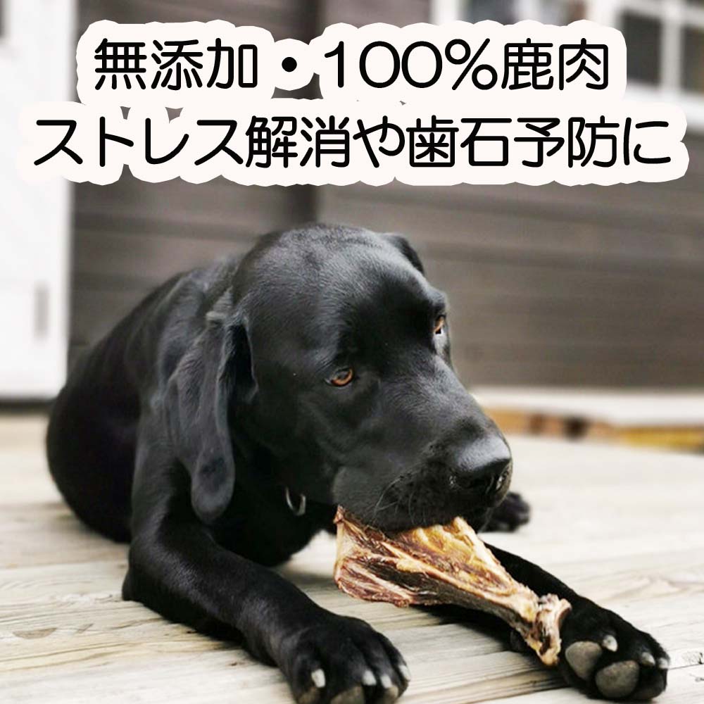 4位! 口コミ数「1件」評価「5」森のジビエ for PET 鹿あばら＆肩甲骨ジャーキーセット【中型・大型犬向け】ペットフード 犬 A-JK-A14A