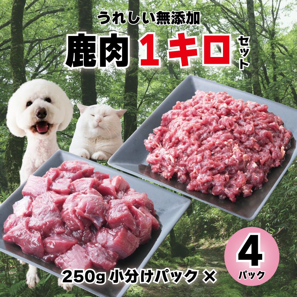 【ふるさと納税】森のジビエ for PET 鹿肉 250g×