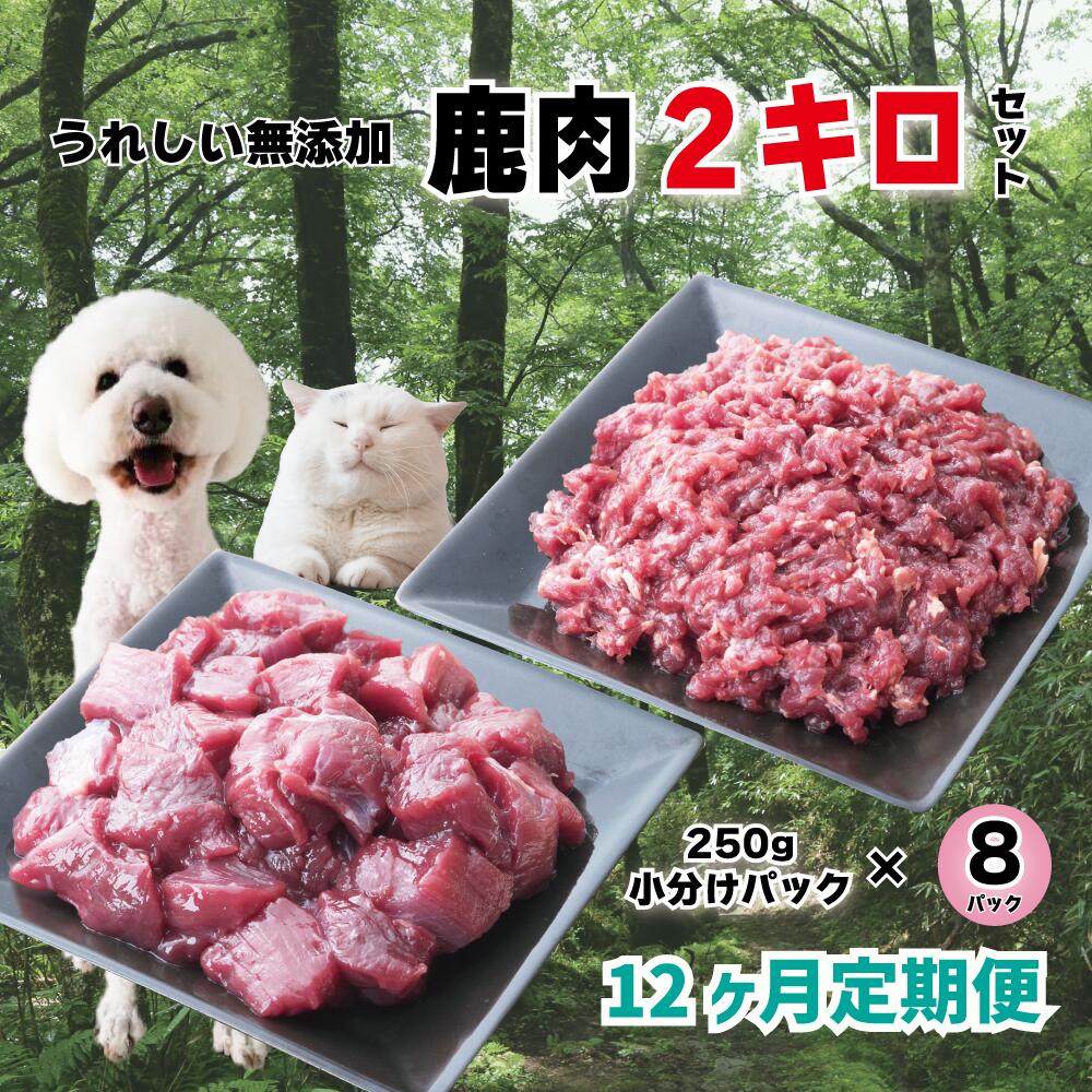 [12回定期便] 森のジビエ for PET 鹿肉 250g×8パック(計2kg) ペットフード 犬 猫 A-JK-D01A