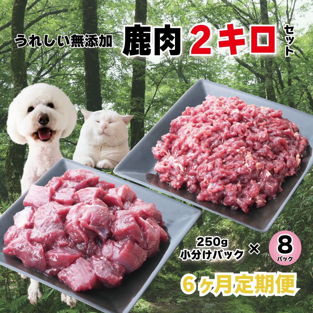 5位! 口コミ数「0件」評価「0」【6回定期便】 森のジビエ for PET 鹿肉 250g×8パック(計2kg) ペットフード 犬 猫 A-JK-C01A