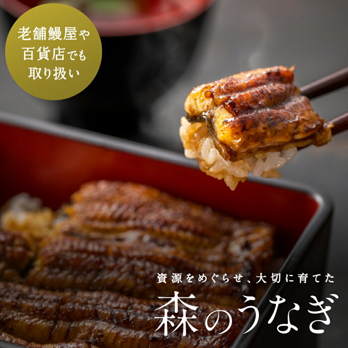 【ふるさと納税】A10 森のうなぎ 手焼き蒲焼 2尾(220g以上)セット【10月以降お届け】