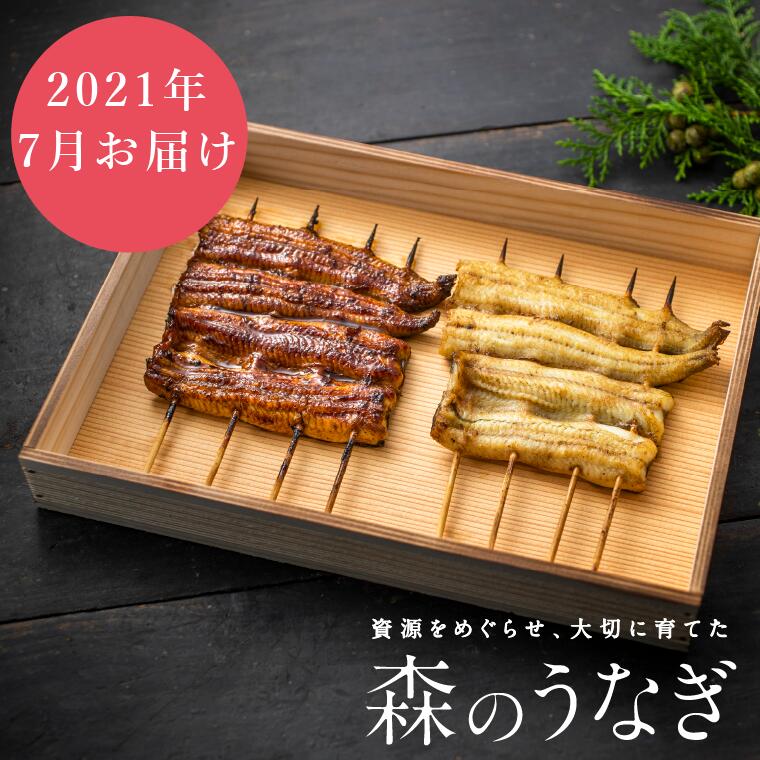 【ふるさと納税】【先行予約】2021年7月お届けAt7森のうなぎ 中(110-129g) 紅白2尾セット