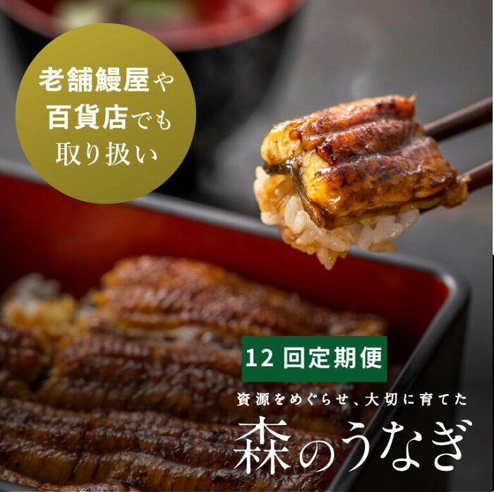 【ふるさと納税】A13 定期便 森のうなぎ 手焼き蒲焼 2尾(220g以上)セット×12回【10月以降お届け】