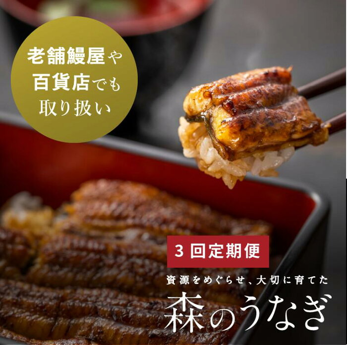 【ふるさと納税】A11 定期便 森のうなぎ 手焼き蒲焼 2尾(220g以上)セット×3回【10月以降お届け】