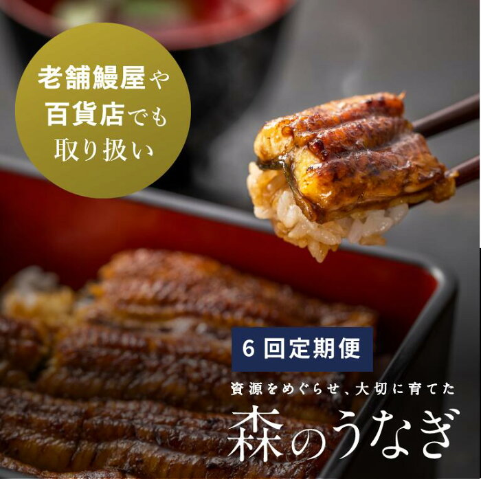 【ふるさと納税】A12 定期便 森のうなぎ 手焼き蒲焼 2尾(220g以上)セット×6回【10月以降お届け】