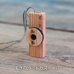 【ふるさと納税】木のおもちゃ 楽器 すぎのウッドカズーKIT O-mr-A22A