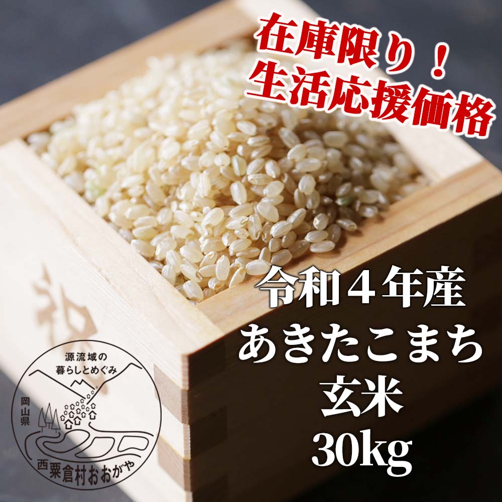 【ふるさと納税】生活応援 玄米 30kg 令和4年産 あきたこまち 岡山 「おおがや米」生産組合 G-bd-ABAA