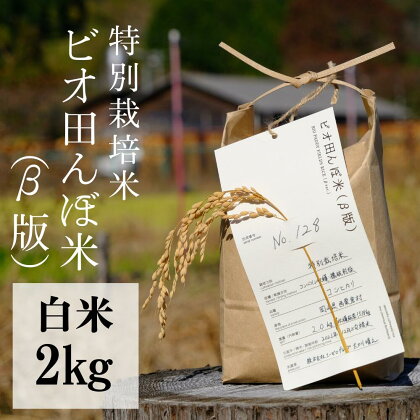 特別栽培米 白米 2kg 令和5年産 コシヒカリ 「ビオ田んぼ米」A-ae-ACZA